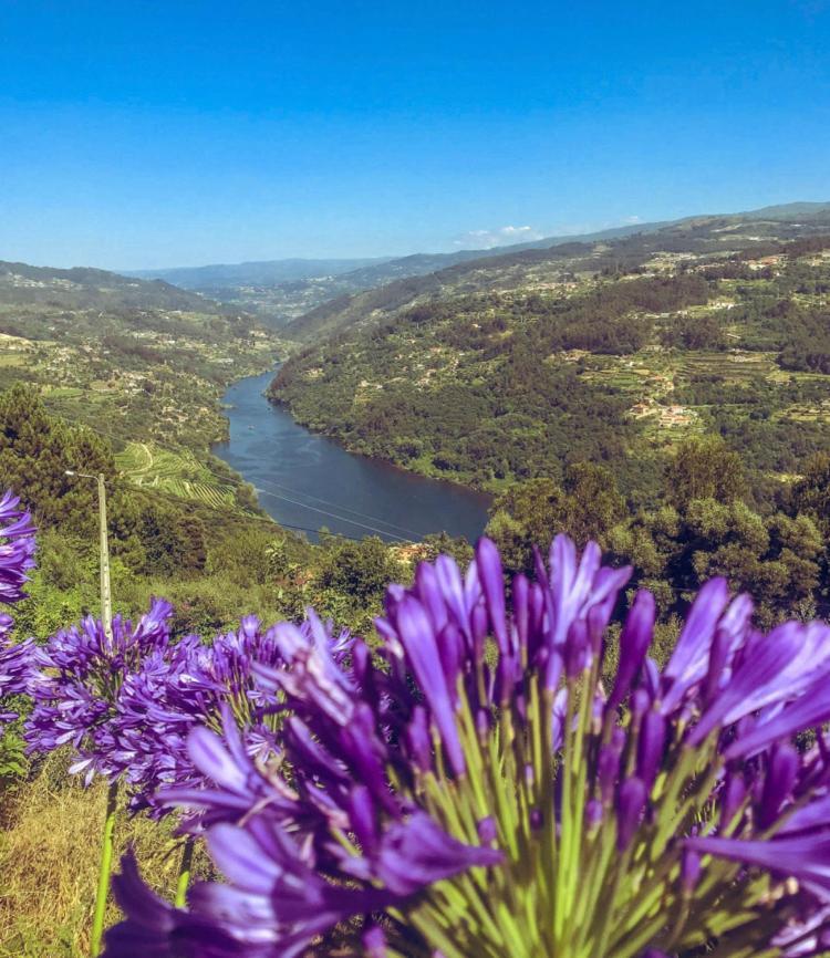 Holiday home Mira Douro Valley