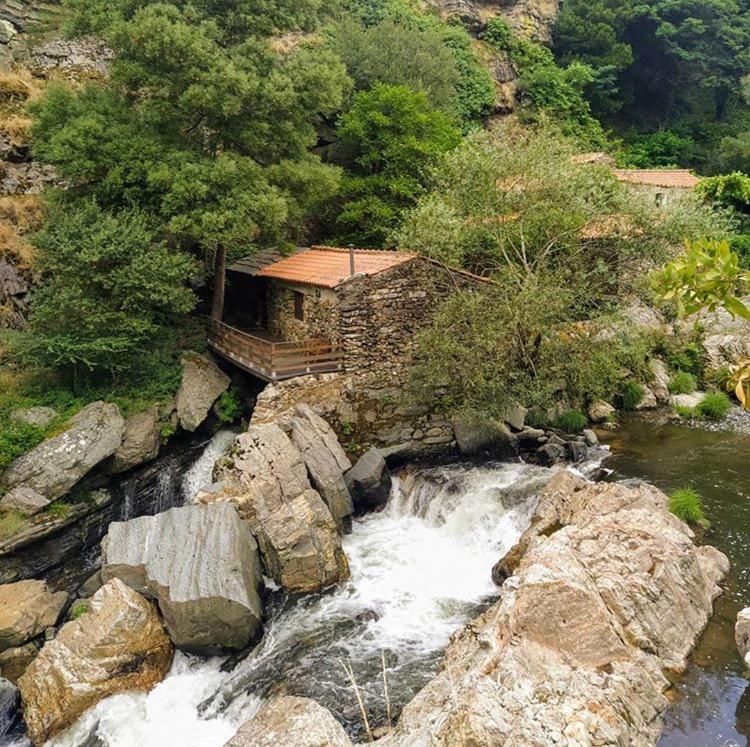 Holiday home Mira Douro Valley *