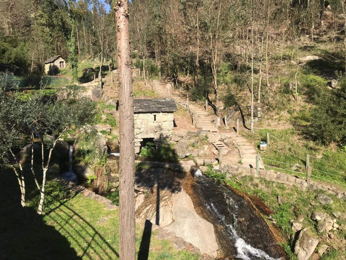 Mira Douro Valley Holiday home