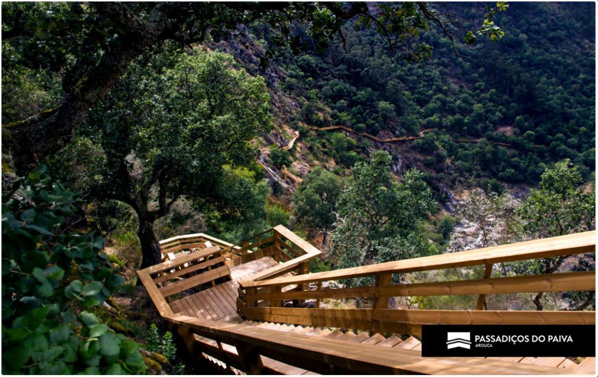 Holiday home Mira Douro Valley *